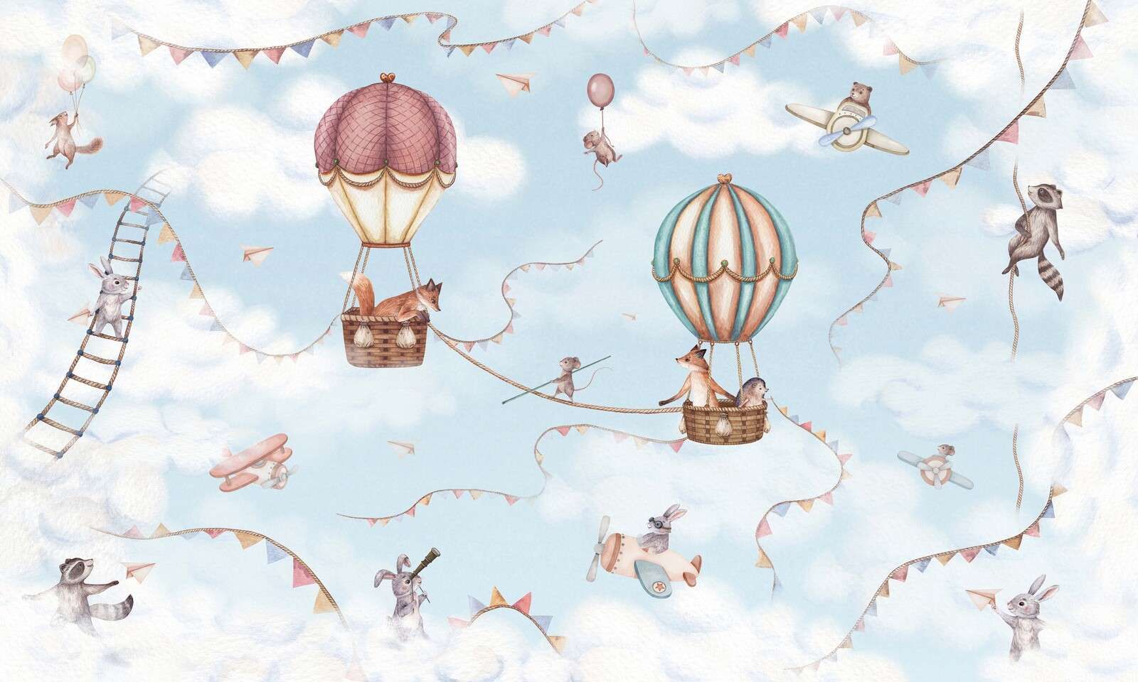Aviation Adventure