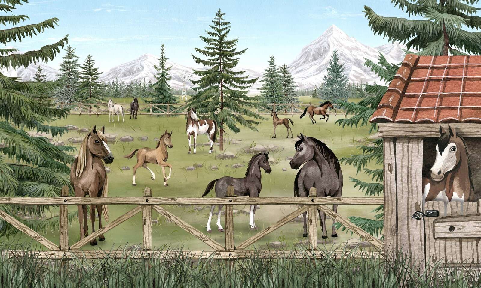 Horse Haven