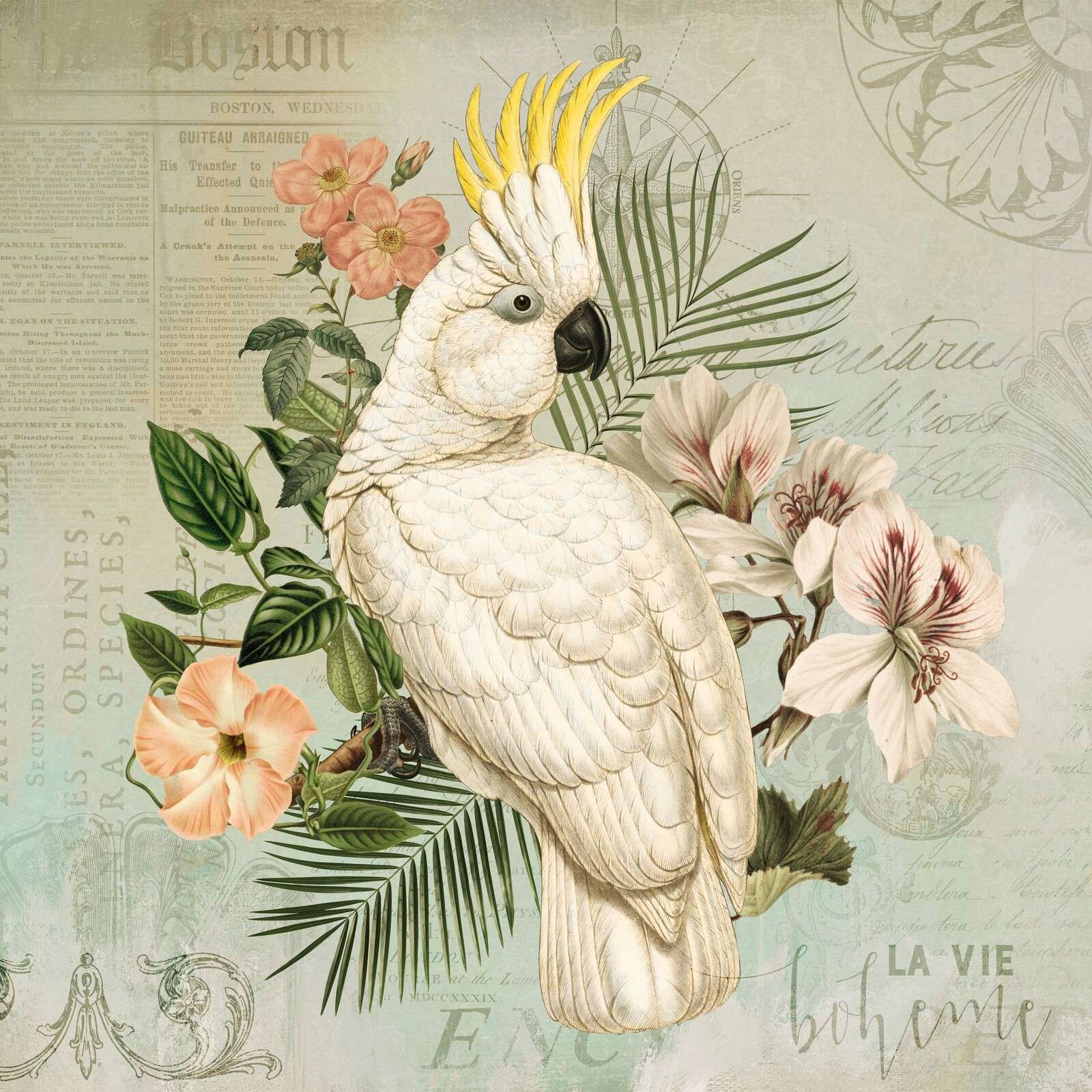 Kakadu-Vintage-Nostalgie