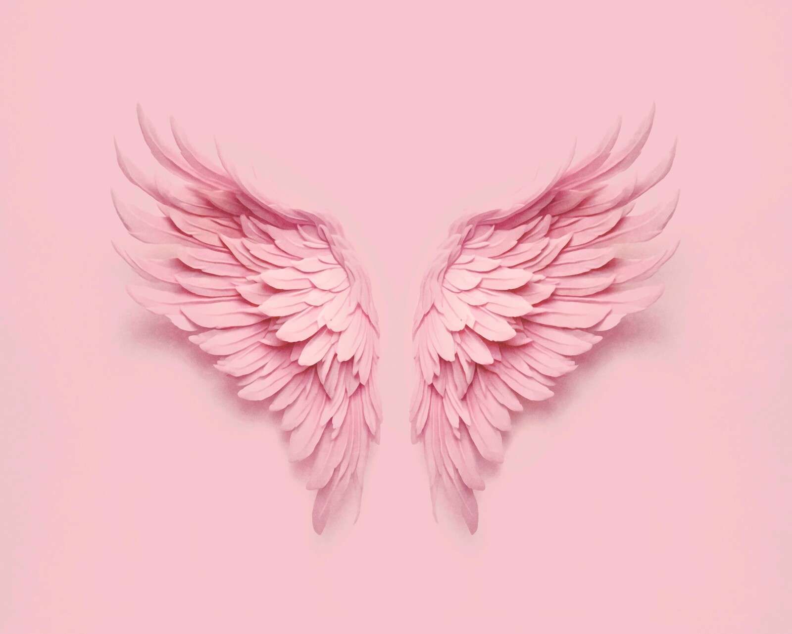 Pink angel wings backdrop