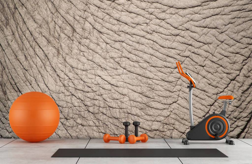 Elefantenhaut auf Fototapete - Fototapete