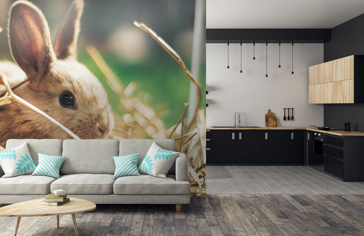 Wallpaper Kaninchen im Stroh 10
