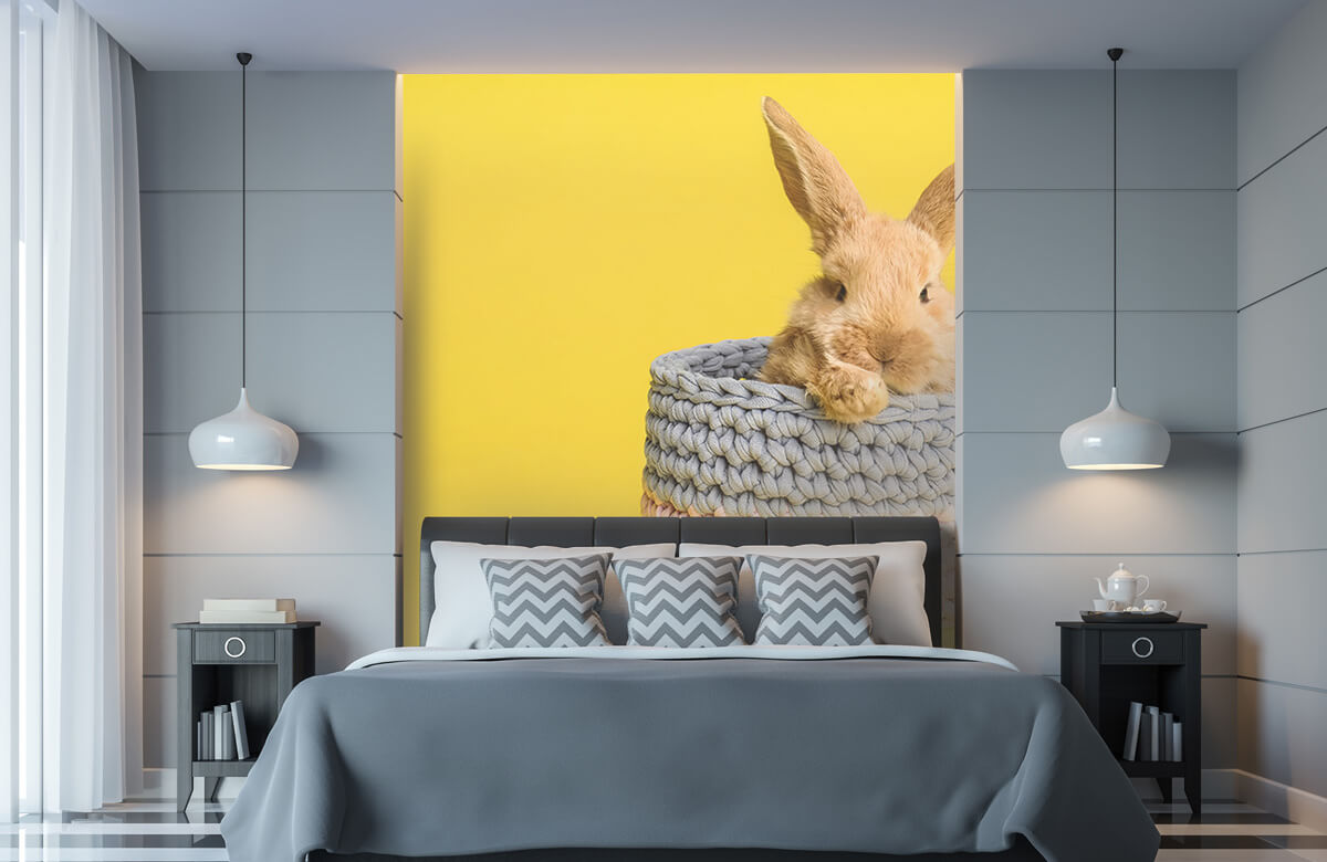 Wallpaper Kaninchen im Korb 11