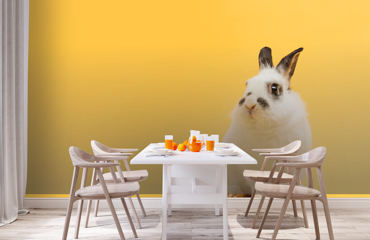 Wallpaper Posieren Kaninchen 2