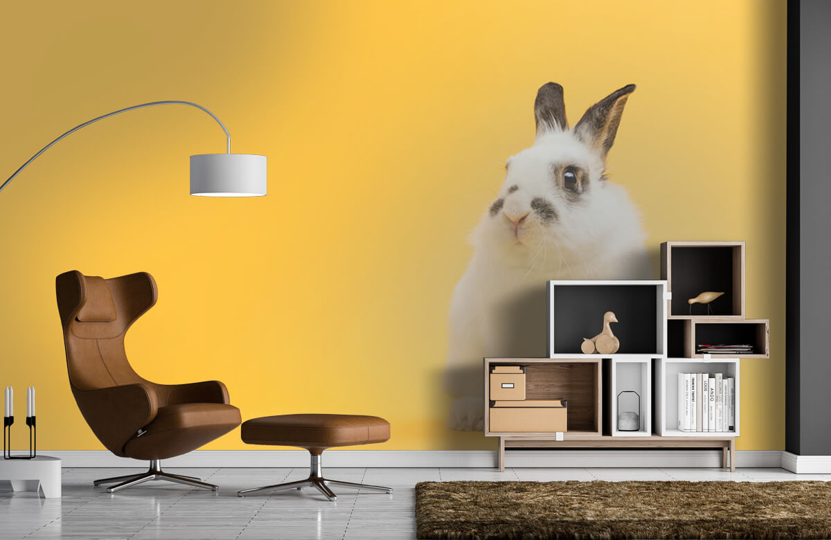 Wallpaper Posieren Kaninchen 9