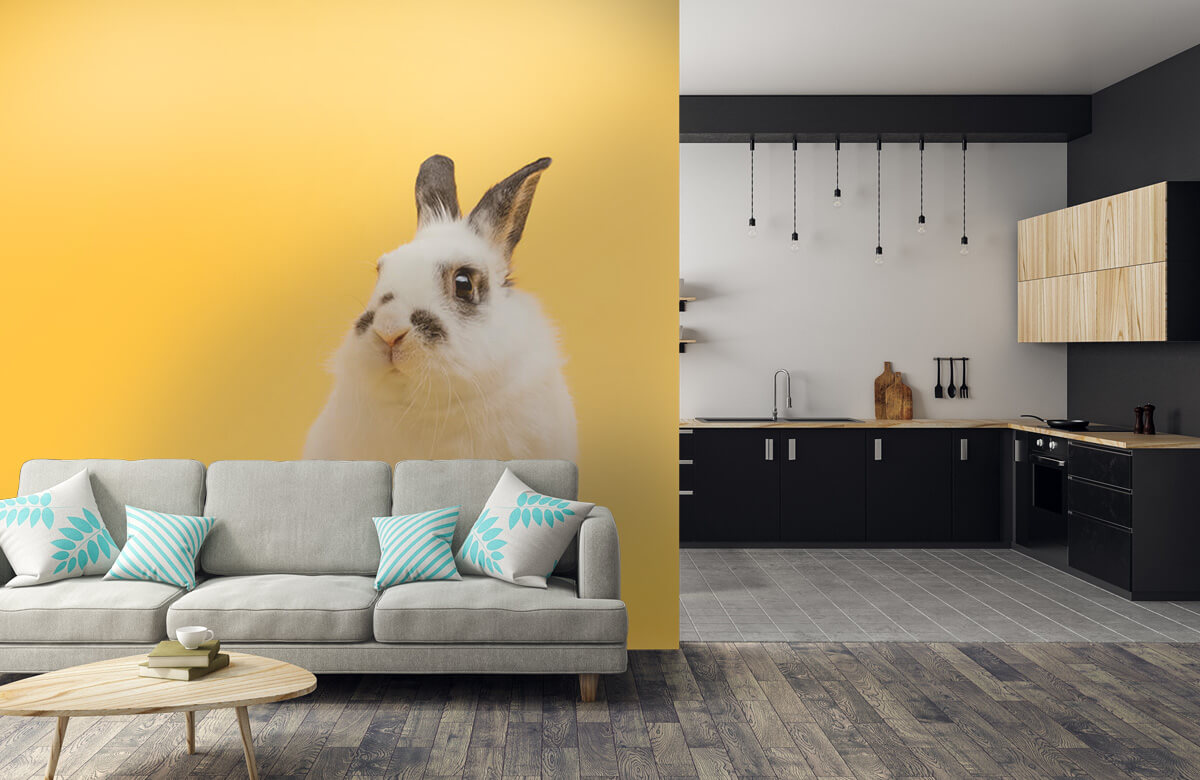 Wallpaper Posieren Kaninchen 10
