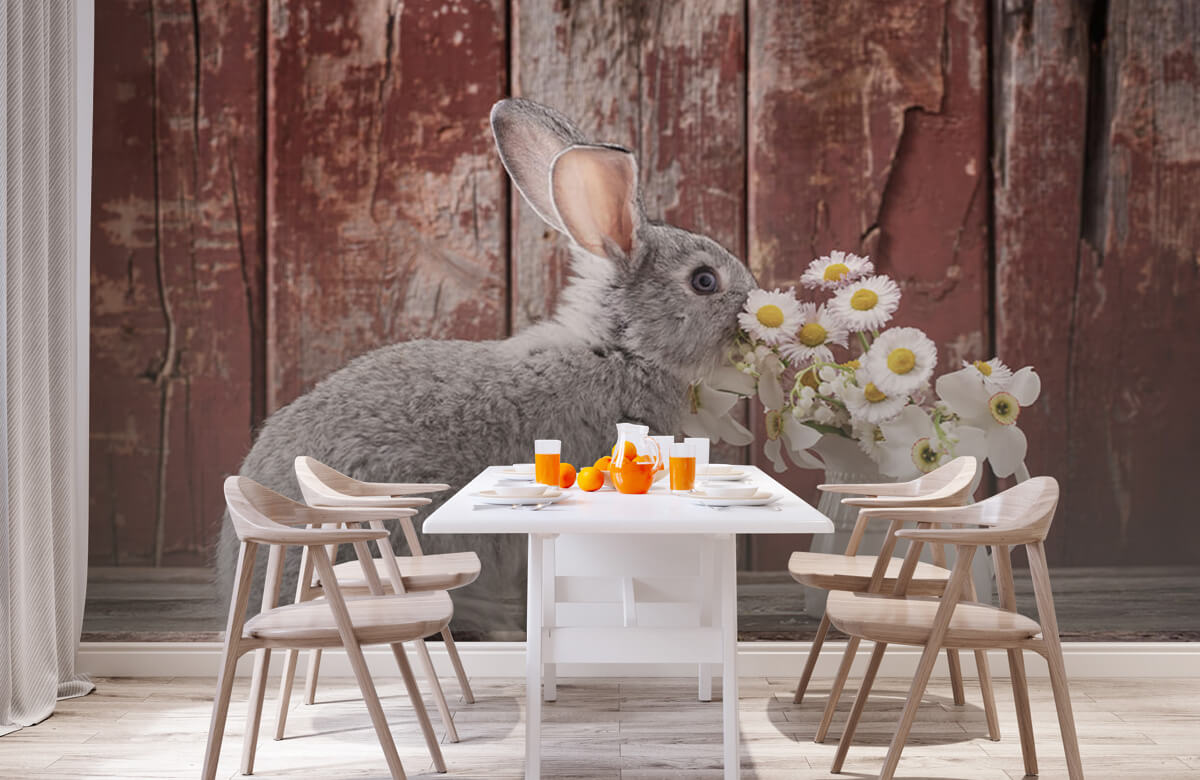 Wallpaper Kaninchen mit Gänseblümchen 3