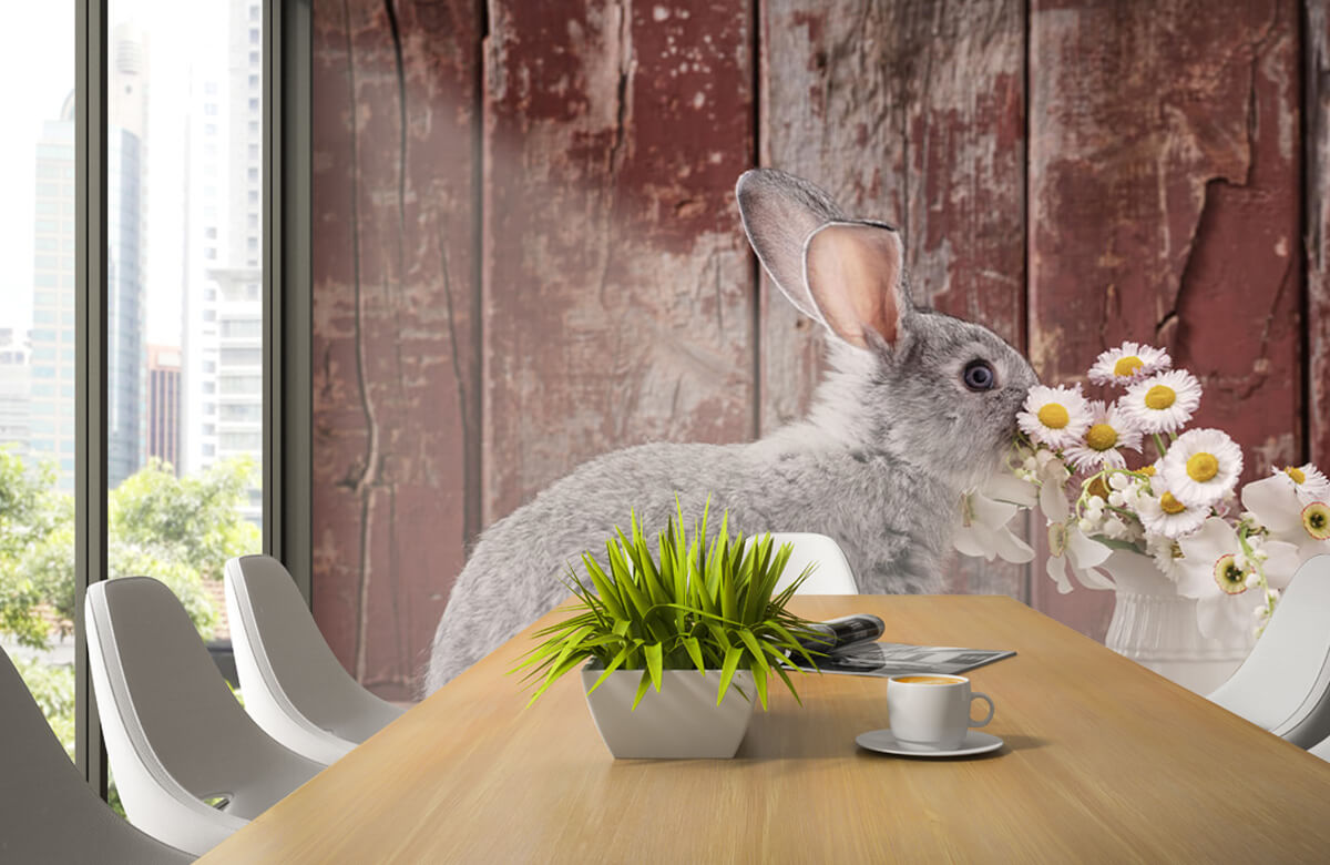 Wallpaper Kaninchen mit Gänseblümchen 4