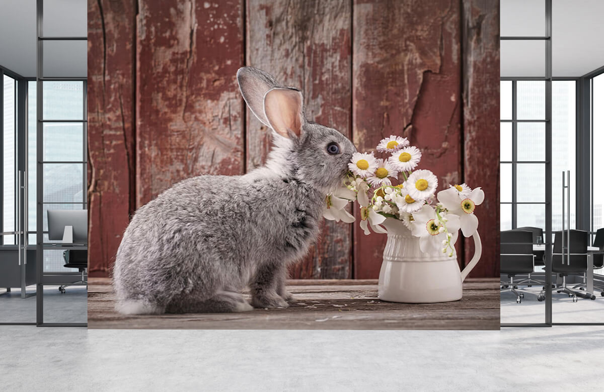 Wallpaper Kaninchen mit Gänseblümchen 7