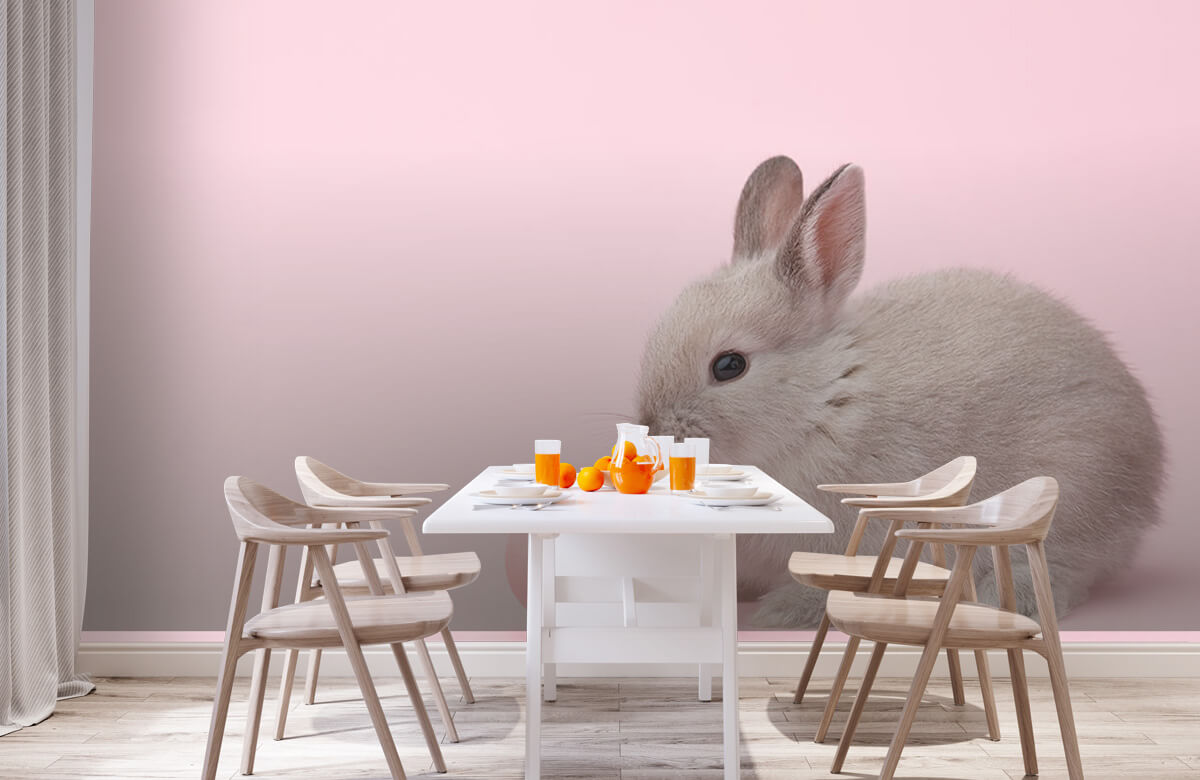 Wallpaper Kaninchen mit Ei 2
