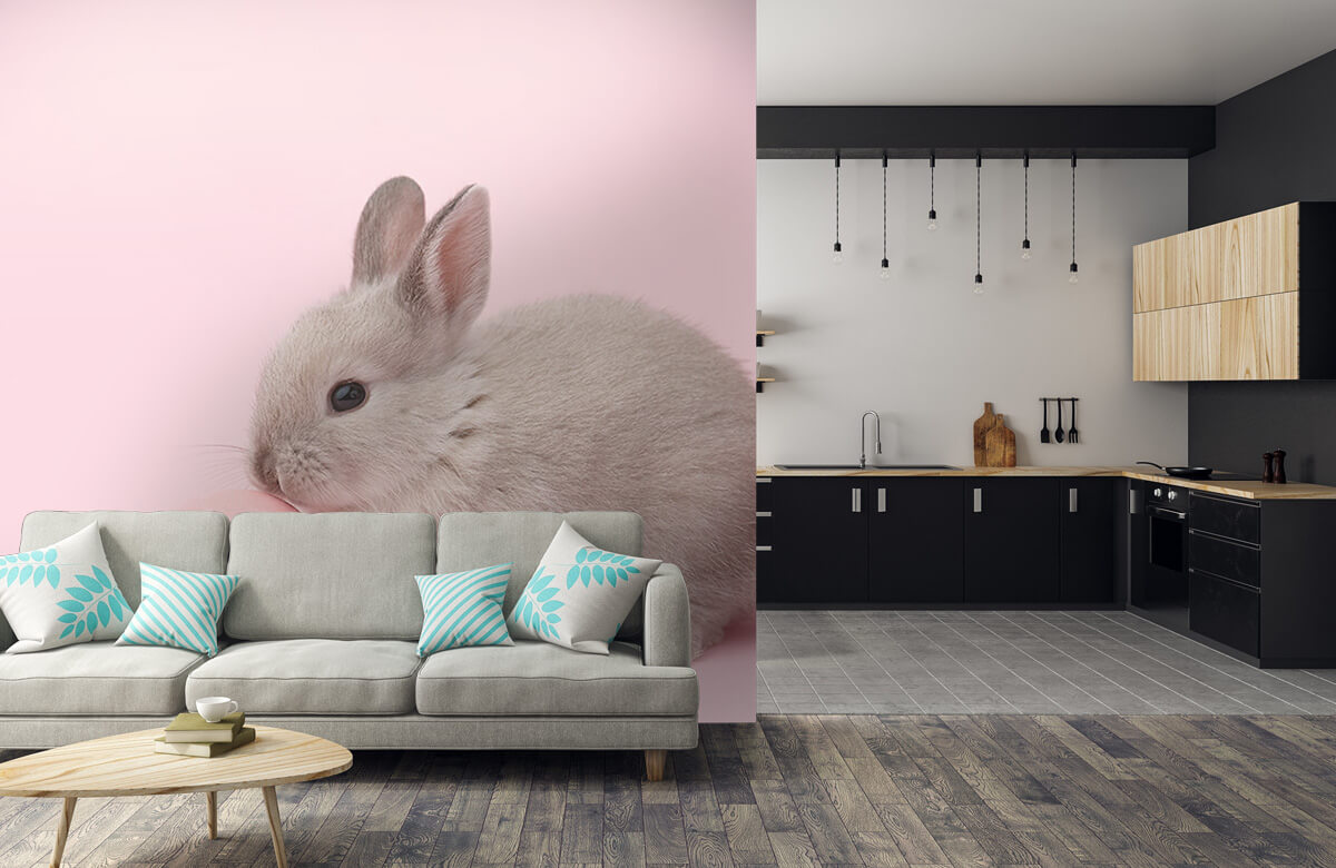 Wallpaper Kaninchen mit Ei 10