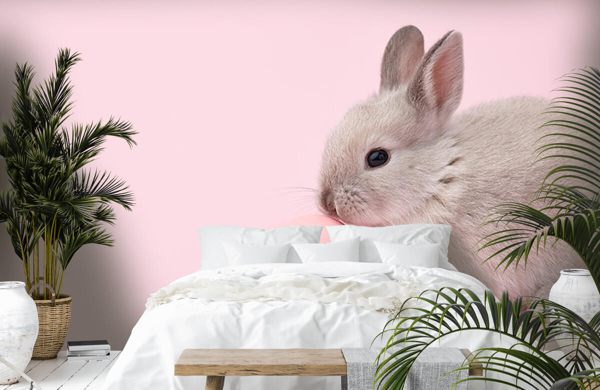 Wallpaper Kaninchen mit Ei 7