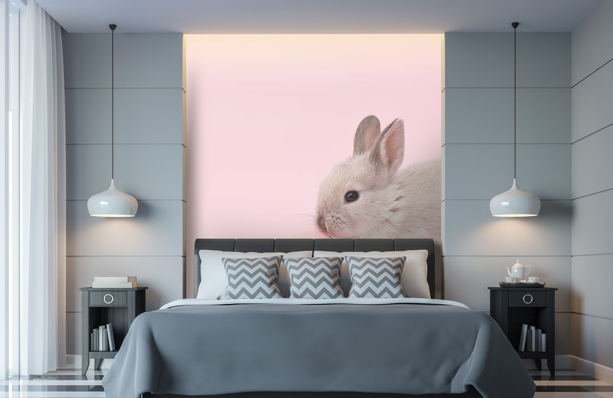 Wallpaper Kaninchen mit Ei 11