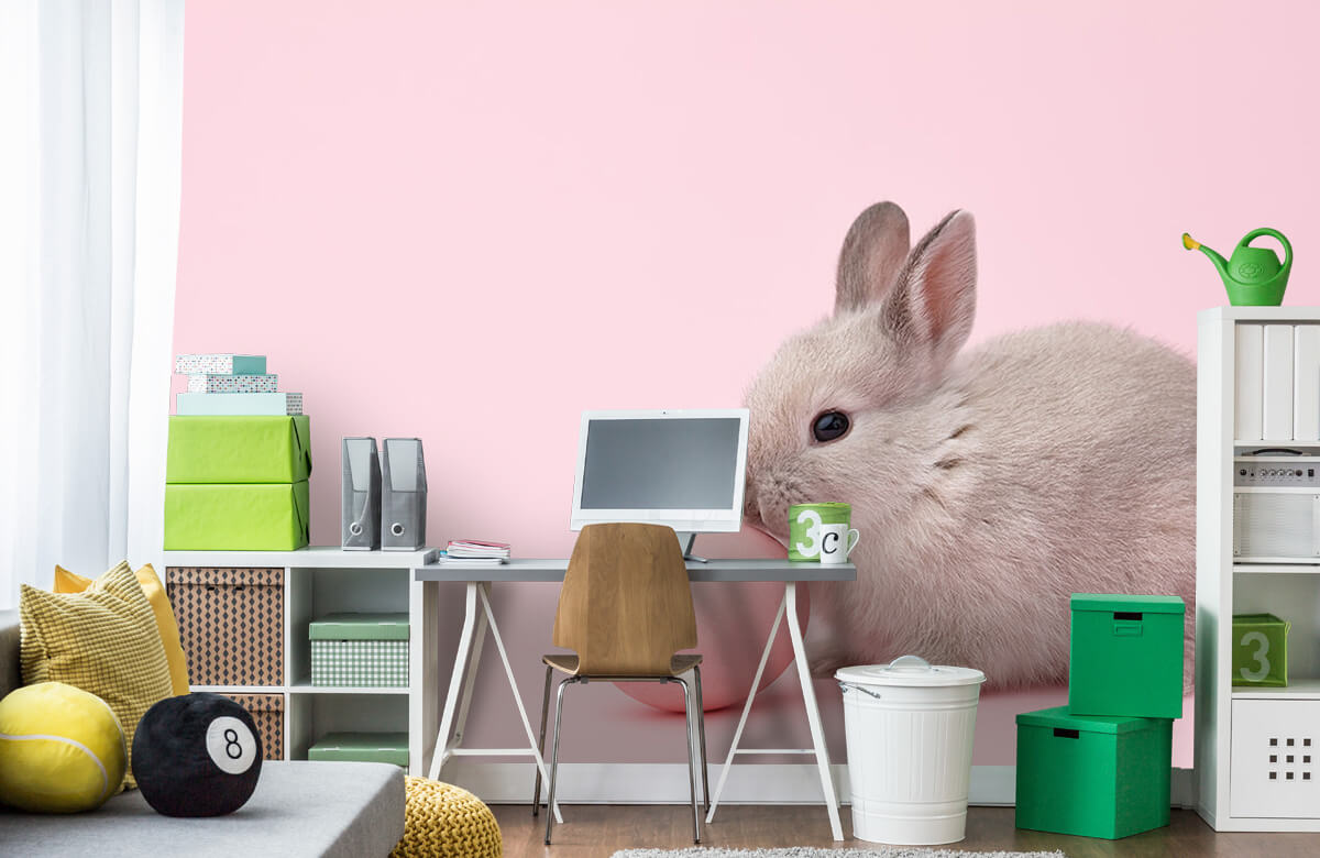 Wallpaper Kaninchen mit Ei 4