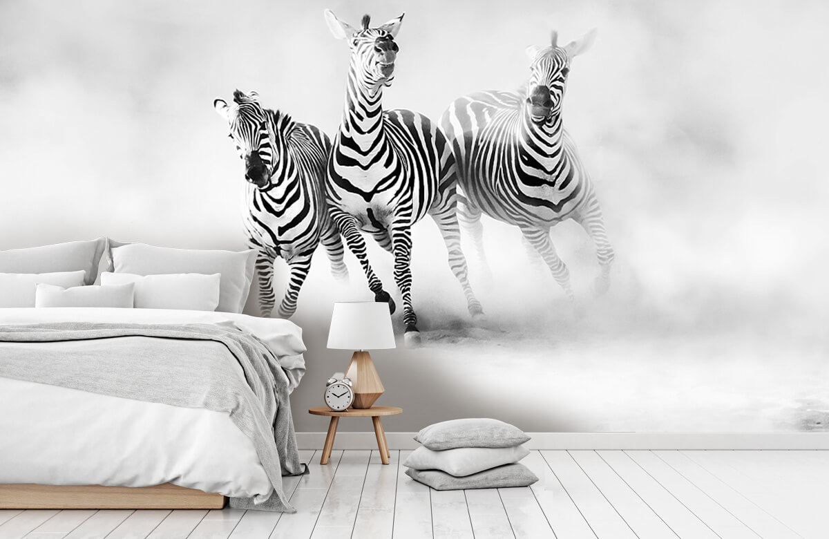 Wilde dieren Zebras 10