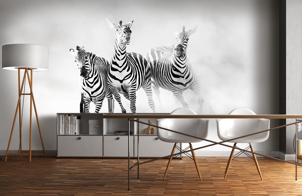 Wilde dieren Zebras 1