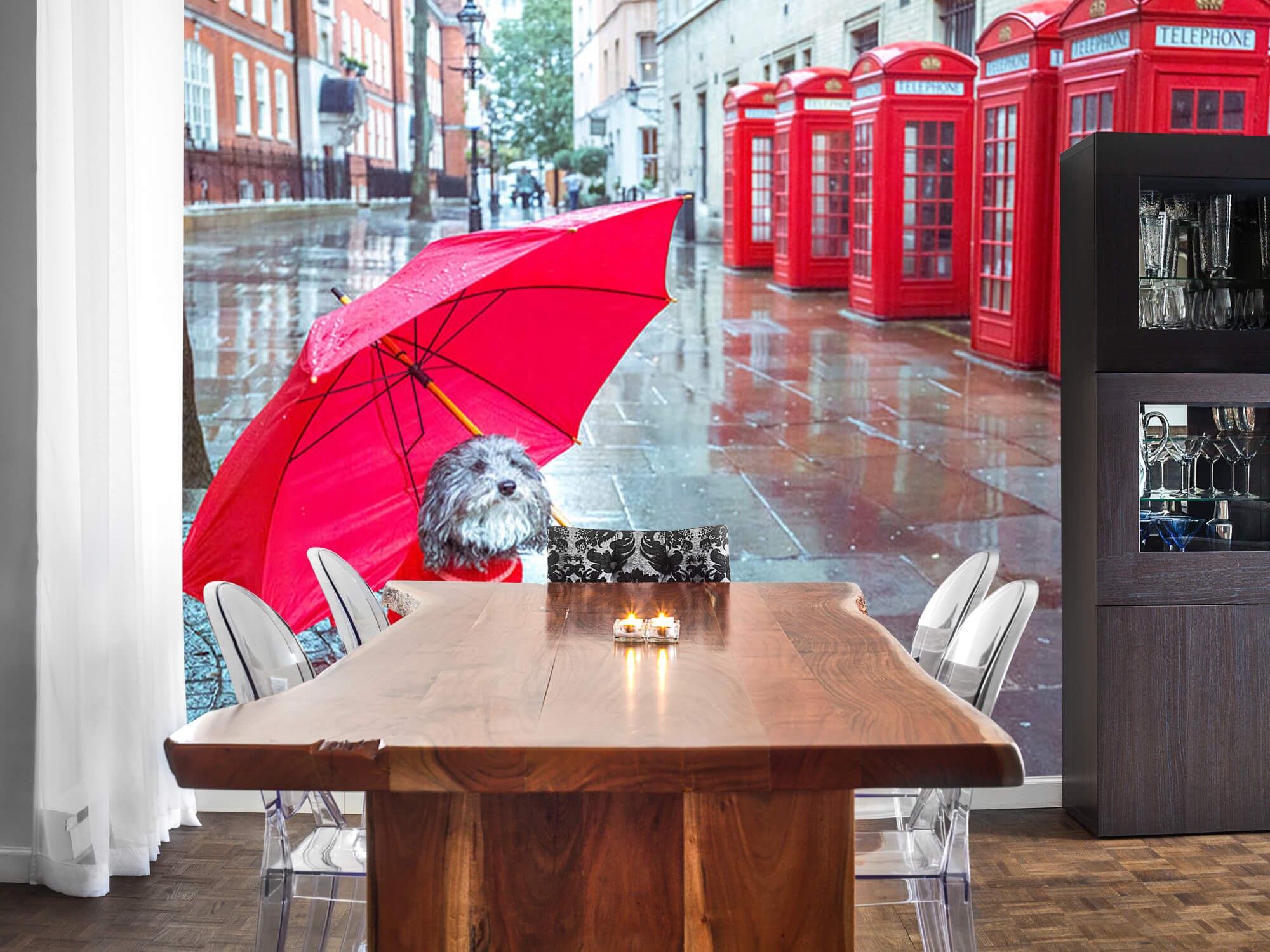  Hund mit Regenschirm 4