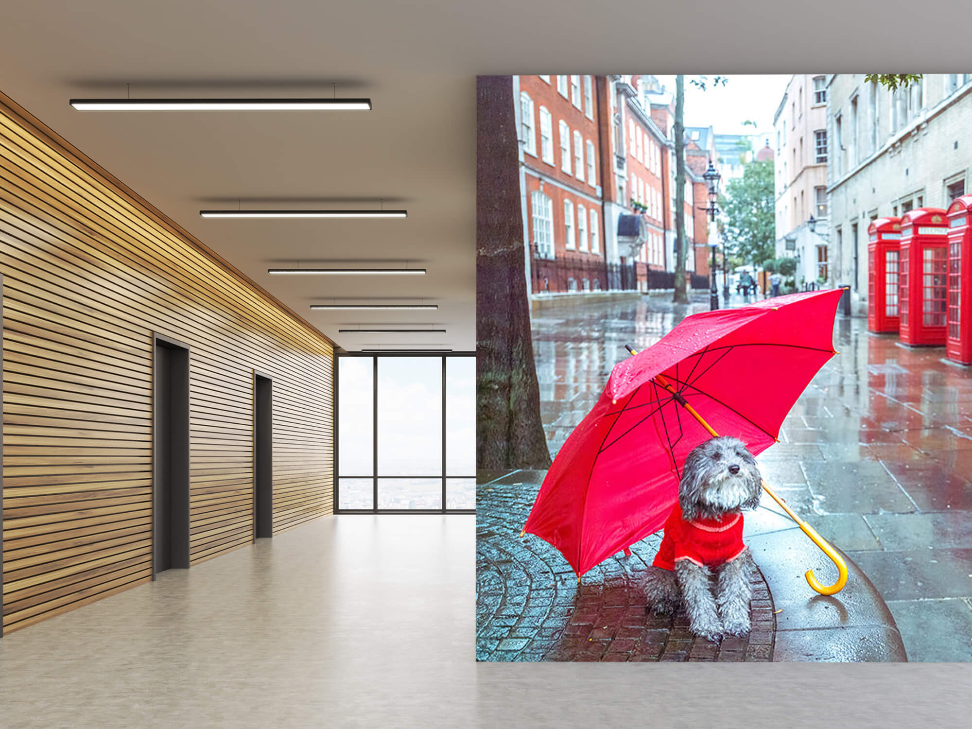 Hund mit Regenschirm 6