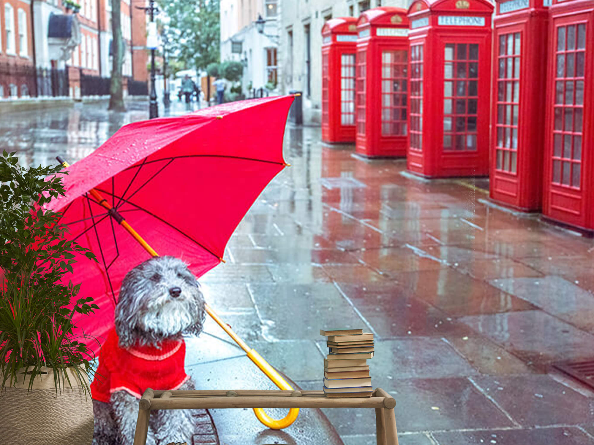  Hund mit Regenschirm 14